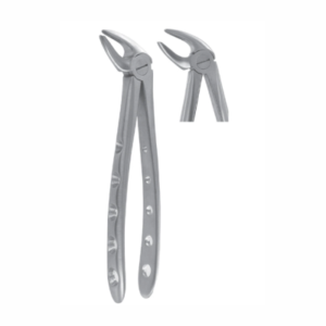Extracting Forcep AE 1001