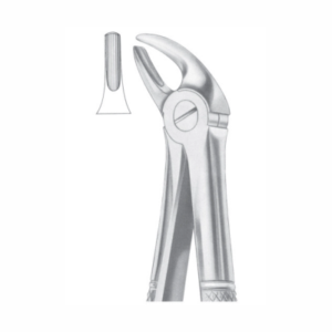 Fig 4 upper incisors and canines AE 1006