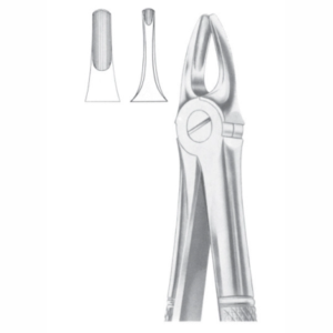 Fig 3 Upper Incisors And Canines