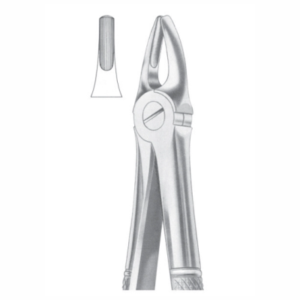 Upper Laterals and Canines AE 1004