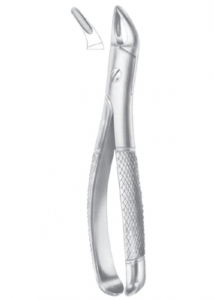 Fig 100 upper roots AE 1090