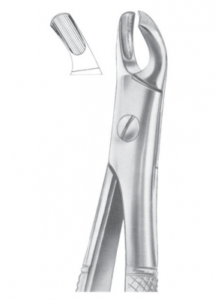 Fig 103 upper molars left AE 1094