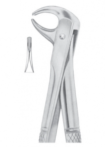 Fig 105 lower incisors AE 1095