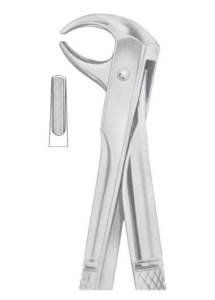Fig 106 lower incisors AE 1096
