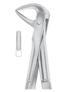 Fig 114 upper roots Code AE 1100