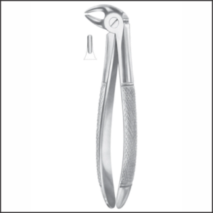 Fig 13S lower premolars for children AE 1010