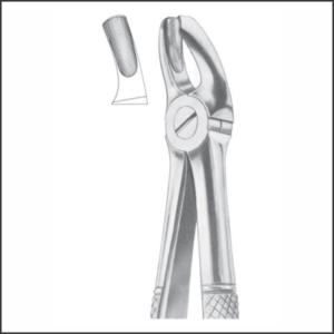 Fig 18 upper molars left AE 1012