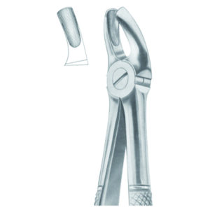 Fig 18B upper molars AE 1014