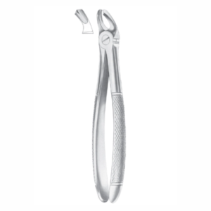 Fig 20 upper third molars AE 1016