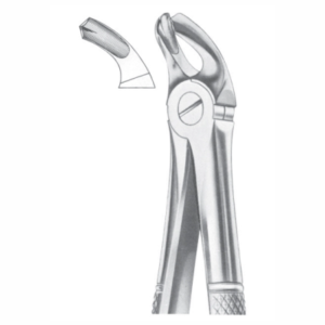 Fig 21 lower molars AE 1017