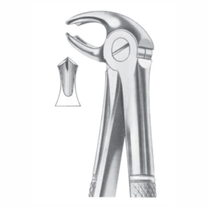 Fig 22 lower molars AE 1018