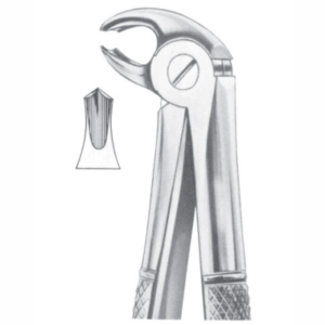 Fig 22S lower molars for children AE 1019