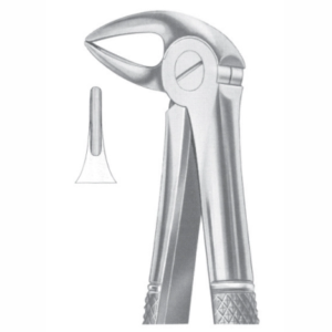 Fig 33A lower roots AE 1030