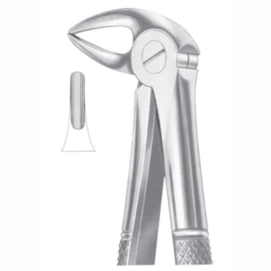 Fig 33B lower roots AE 1031