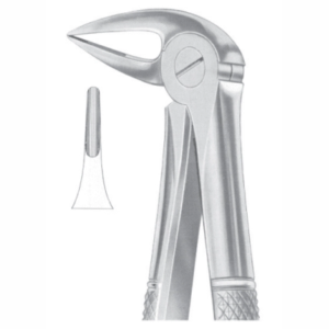 Fig 33L lower roots AE 1032