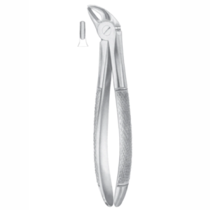 Fig 38 lower incisors AE 1035