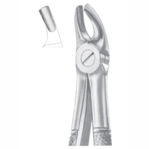 Fig 39 upper molars for children AE 1036