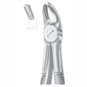 Fig 39A upper molars for children AE 1038