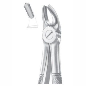 Fig 39R upper molars right for children AE 1037