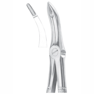 Fig 48 lower roots AE 1044