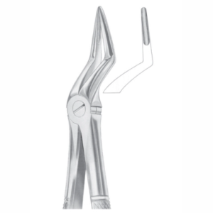Fig 51L upper roots AE 1049