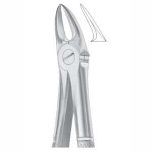 Fig 55 for separating upper molars AE 1054