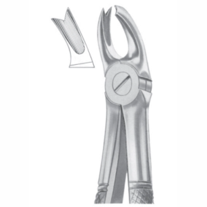 Fig 65L upper molars left AE 1057