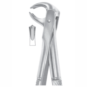 Fig 73 lower molars AE 1064