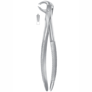 Fig 73A lower molars AE 1067