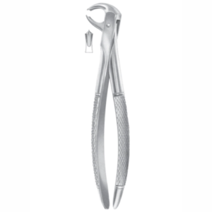 Fig 73K lower molars for children AE 1072