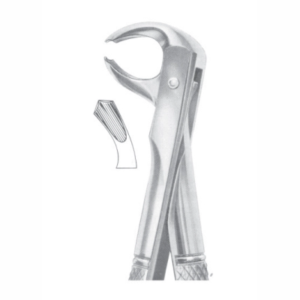 Fig 73L lower molars left AE 1066