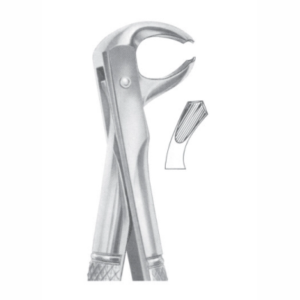 Fig 73R lower molars right AE 1065