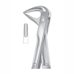 Fig 74 lower roots AE 1070