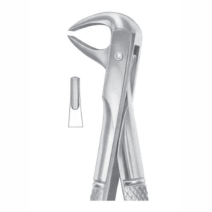 Fig 74D lower roots AE 1071