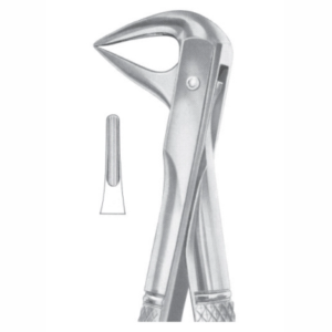 Fig 74N lower roots AE 1074