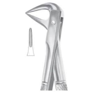 Fig 74XN lower roots and crowded incisors AE 1075