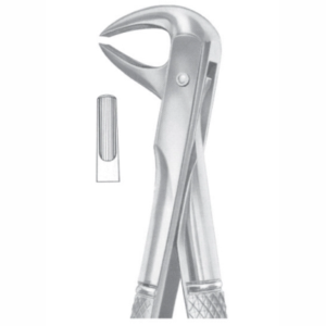 Fig 75 lower premolars AE 1076