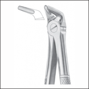 Fig 8 lower premolars AE 1008