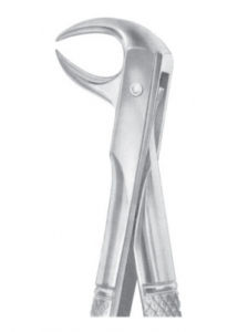 Fig 86B lower molars AE 1084