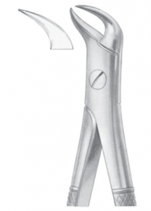 Fig 87 lower molars AE 1086