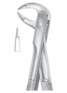 Fig 91 for separating lower molars AE 1087