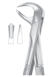 Fig 99 lower molars AE 1088