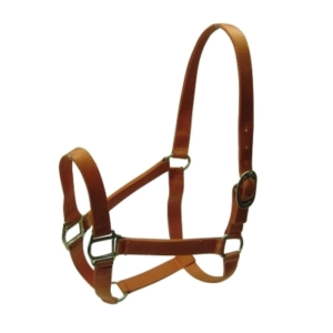 Halters and Reins HR 1001