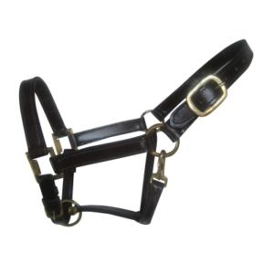 Halters and Reins HR 1005