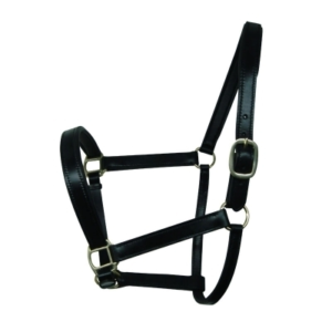 Halters and Reins HR 1006