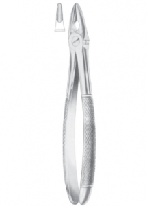 MEAD MD 1 upper anteriors roots incisors canines AE 1104