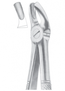 MEAD (MD 2) upper molars AE 1105