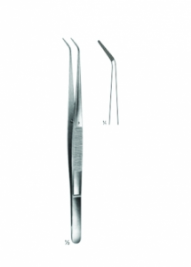 Delicate Dissecting Forceps AE 02 3365