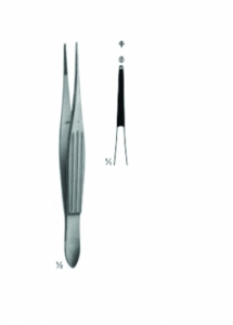 Tissue Forceps AE 02 3460