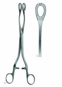 Gall Bladder Forceps and Gall Duct Scissors AE 03 5632